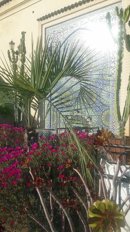 Riad Souafine เฟส ภายนอก รูปภาพ